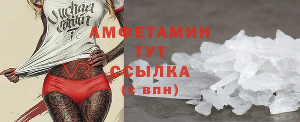 индика Бугульма