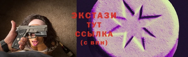 индика Бугульма