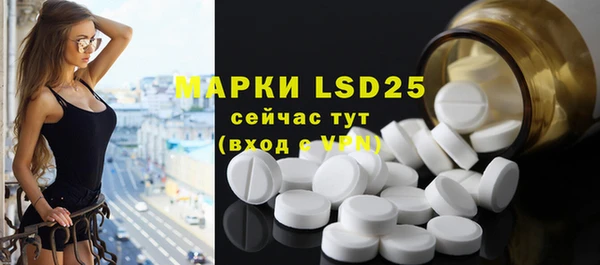 индика Бугульма