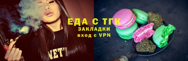 индика Бугульма