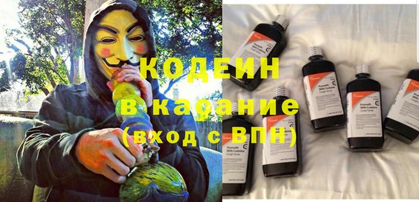 индика Бугульма