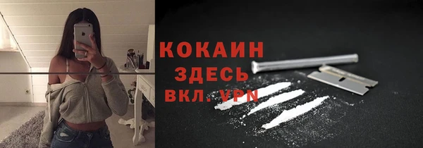 гашик Бородино