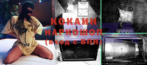 индика Бугульма