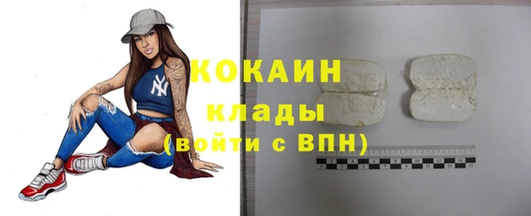 индика Бугульма