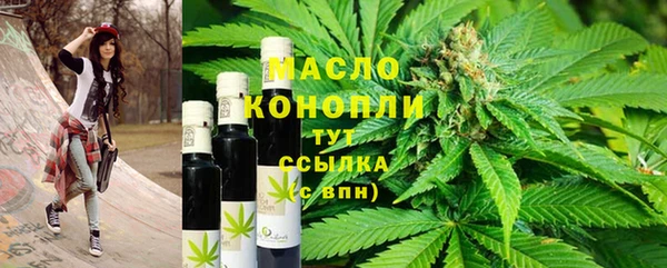 гашик Бородино