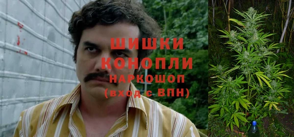индика Бугульма