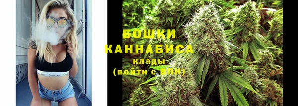индика Бугульма