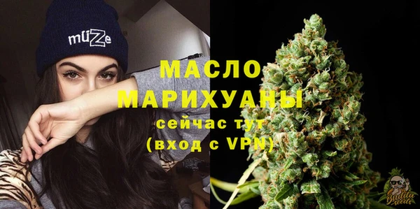 индика Бугульма