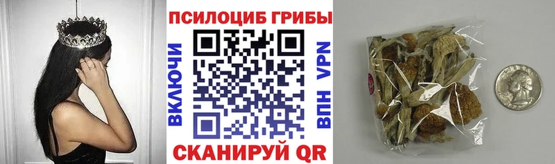 Псилоцибиновые грибы Psilocybine cubensis  Сургут 