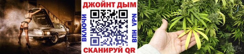 Конопля марихуана Сургут